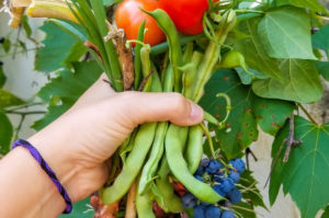 Read more about the article The Health Benefits of a Home Cooked Meal